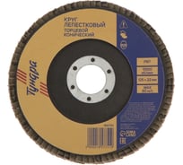 Круг лепестковый торцевой конический (125х22 мм; Р60) TUNDRA 1857751