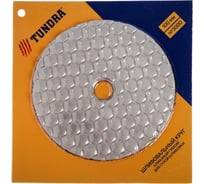 Круг шлифовальный алмазный гибкий для сухой шлифовки (100 мм; №3000) ТУНДРА 3594936