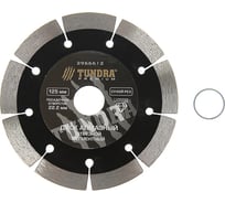 Диск алмазный отрезной PRO (125х22 мм; повышенный ресурс; сегментный; сухой рез) TUNDRA 2966612