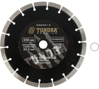 Диск алмазный отрезной PRO (230х22 мм; повышенный ресурс; сегментный; сухой рез) TUNDRA 2966613