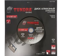 Диск алмазный отрезной (230х22 мм; сегментный с защитными секторами; сухой рез) TUNDRA 1857766