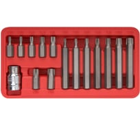 Набор бит TORX 15 предметов CrV FIT IT 57835