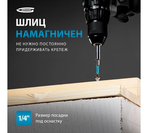 Набор бит торсионных (2 шт; PZ3; 50 мм) для ударных шуруповертов GROSS 11489