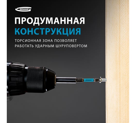 Набор бит торсионных (2 шт; PZ3; 50 мм) для ударных шуруповертов GROSS 11489