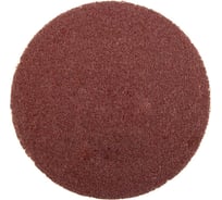 Круг абразивный на липучке (10 шт; 125 мм; Р60) SKRAB 35733