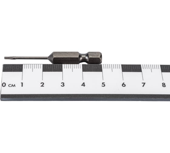Биты торсионные TORX (10 шт; T5; 50 мм) SKRAB 43878