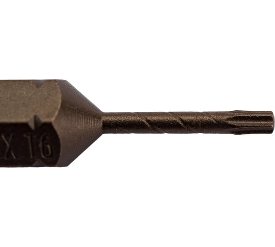 Биты торсионные антислип TORX (10 шт; Т6; 25 мм) SKRAB 43834