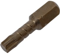 Биты торсионные антислип TORX (10 шт; Т25; 25 мм) SKRAB 43831