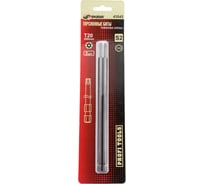 Биты торсионные с отверстием TORX (2 шт; Т20H; 200 мм) SKRAB 43542