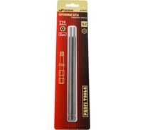 Биты торсионные с отверстием TORX (2 шт; Т10H; 200 мм) SKRAB 43540