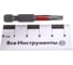 Биты торсионные красные TORX (10 шт; T20; 50 мм) SKRAB 43636 6