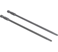 Биты антивандальные с отверстием TORX (2 шт; T20H; 150 мм) SKRAB 43503