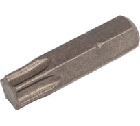 Бита вставка TORX T40, 25 мм, 10 шт, 1/4" Airline ATAR034