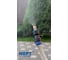 Фитинг-форсунка для туманообразования PG 12-06+Nozzle 0.6 NBPT 82453 6