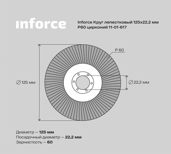 Круг лепестковый (125x22.2 мм; P60; цирконий) Inforce 11-01-617