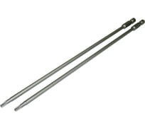 Биты антивандальные с отверстием TORX (2 шт; T10H; 200 мм) SKRAB 43510