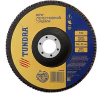 Круг лепестковый торцевой (150х22 мм; Р40) TUNDRA 1300808
