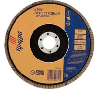 Круг лепестковый торцевой (150х22 мм; Р120) ТУНДРА 1300812