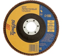 Круг лепестковый торцевой (125х22 мм; Р60) ТУНДРА 1124384