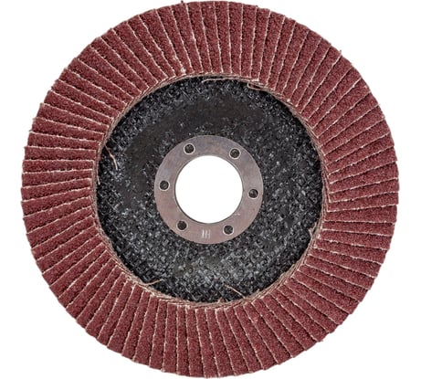 Круг лепестковый торцевой (125х22 мм; Р40) ТУНДРА 1124383