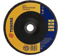 Круг лепестковый торцевой (180х22 мм; Р40) TUNDRA 1300813