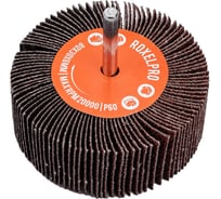 Щетка лепестковая абразивная ROXTOP на шпинделе (80х30х6 мм; Р60) RoxelPro 133845