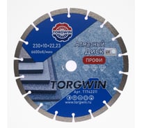 Диск алмазный TORGWIN отрезной сегментный по бетону и камню 230х22.2/10х2.8мм. Сold press Professionale / / T1742211
