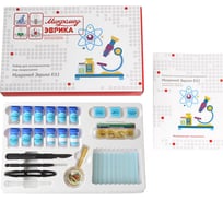 Набор для экспериментов под микроскопом Эврика Kit1 Микромед 26386