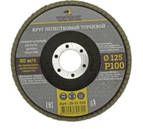 Круг лепестковый торцевой (125 мм; Р100) ЧЕГЛОК 16-11-210