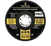 Круг лепестковый торцевой ПРО (125 мм; Р100) ЧЕГЛОК 16-10-210