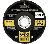 Круг лепестковый торцевой ПРО (125 мм; Р24) ЧЕГЛОК 16-10-202