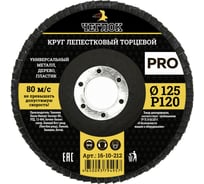 Круг лепестковый торцевой ПРО (125 мм; Р120) ЧЕГЛОК 16-10-212