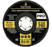 Круг лепестковый торцевой ПРО (125 мм; Р80) ЧЕГЛОК 16-10-208