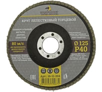 Круг лепестковый торцевой (125 мм; Р40) ЧЕГЛОК 16-11-204