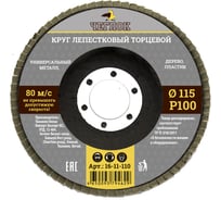 Круг лепестковый торцевой (115 мм; Р100) ЧЕГЛОК 16-11-110