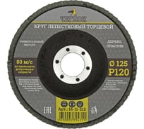 Круг лепестковый торцевой (125 мм; Р120) ЧЕГЛОК 16-11-212