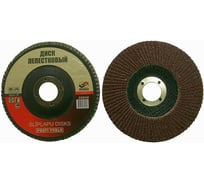 Круг лепестковый плоский (10 шт; 125х22 мм; Р220) SKRAB 35848