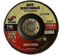 Круг лепестковый плоский (10 шт; 125х22 мм; Р40) SKRAB 35841