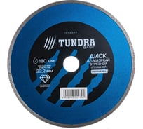 Диск алмазный отрезной (180х22 мм; сплошной; мокрый рез) TUNDRA 1032297