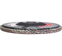 Лепестковые тарельчатые круги прямые FLD-20 D125 мм, P40 R2R 8030-2012540