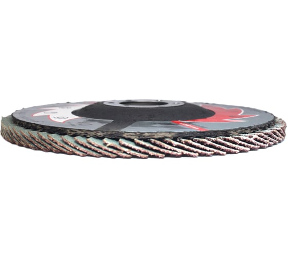 Лепестковые тарельчатые круги прямые FLD-20 D125 мм, P40 R2R 8030-2012540