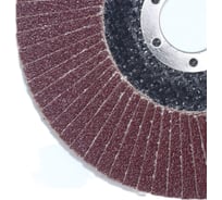 Лепестковые тарельчатые круги (прямые) FLD-20 D125 мм, P80 R2R 8030-2012580