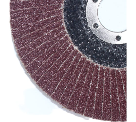 Лепестковые тарельчатые круги (прямые) FLD-20 D125 мм, P80 R2R 8030-2012580