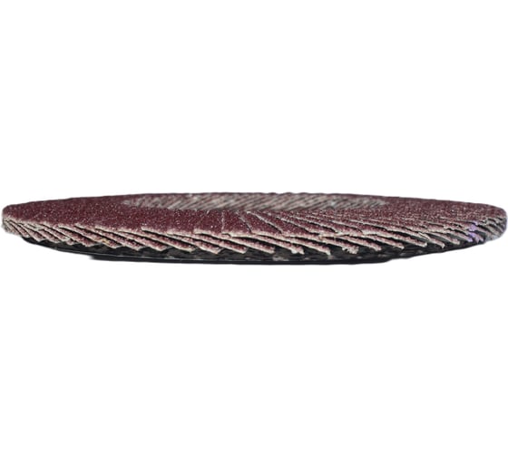 Лепестковые тарельчатые круги (прямые) FLD-20 D125 мм, P80 R2R 8030-2012580