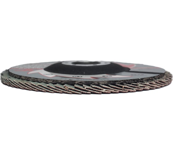 Лепестковые тарельчатые круги (прямые) FLD-20 D125 мм, P80 R2R 8030-2012580