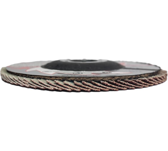Лепестковые тарельчатые круги FLD-20 D125 мм, P60 R2R 8030-2012560