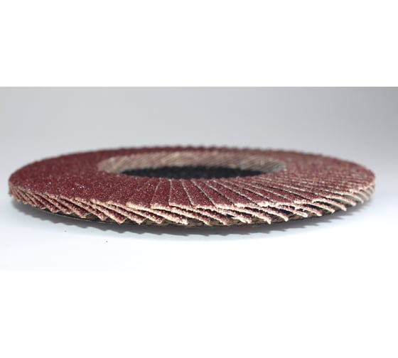 Лепестковые тарельчатые круги FLD-20 D125 мм, P60 R2R 8030-2012560