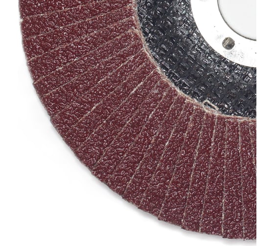 Лепестковые тарельчатые круги FLD-20 D125 мм, P60 R2R 8030-2012560