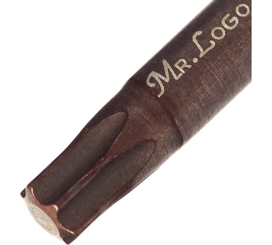 Бита для шуруповерта магнитная T30, 50 мм, S2 Mr.Logo A050T30-10