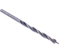 Сверло спиральное (2 шт; 3х60 мм) по дереву СПЕЦ О-350121